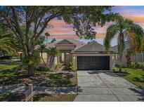 Charming single-story home featuring a well-manicured lawn, mature trees, and a two-car garage at 19113 Golden Cacoon Pl, Lutz, FL 33558