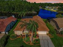 Aerial view of a beautiful house showcasing a tile roof, well-manicured landscaping and large trees at 2691 Saddlewood Ln, Palm Harbor, FL 34685