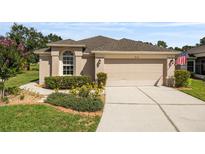 Charming single-story home featuring a two-car garage, manicured lawn, and well-maintained landscaping at 5131 Gato Del Sol Cir, Wesley Chapel, FL 33544