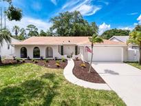 Charming single-story home with a well-manicured lawn and neutral color scheme at 603 Ivey Ln, Tarpon Springs, FL 34689