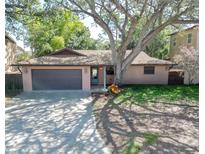 Charming home with a mature tree in the front yard and a spacious driveway leading to an attached garage at 10729 Drummond Rd, Tampa, FL 33615