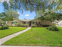 Charming single-story home featuring a well-manicured lawn, mature trees, and inviting front entry at 3325 Schefflera Rd, Tampa, FL 33618