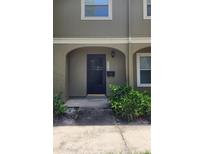 Townhouse front door with black door, mailbox, address, and landscaping at 7107 Hernando Ct, Tampa, FL 33615