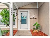 Inviting front entrance with a storm door, complemented by lush landscaping and a pop of color from the potted plant at 15636 Morning Dr, Lutz, FL 33559
