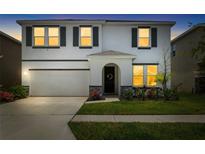 Charming two-story home with a well-manicured lawn and a two-car garage at 33675 Elm Hill Br, Wesley Chapel, FL 33545