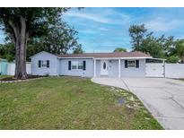 Charming single-story home with a well-maintained lawn, inviting entrance, and driveway at 4317 S Hale Ave, Tampa, FL 33611