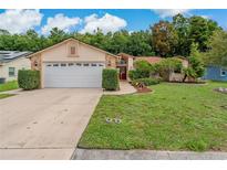 Charming single-story home featuring a well-manicured lawn, mature trees, and a two-car garage at 8671 Cypress Lakes Blvd, New Port Richey, FL 34653