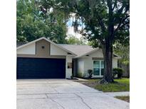 Charming single-story home featuring a dark garage door, beige stucco, and mature shade tree at 4639 Cabbage Palm Dr, Valrico, FL 33596