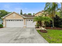 Charming one-story home with a three-car garage, mature palms, and lush landscaping at 12031 Mountbatten Dr, Tampa, FL 33626