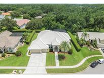 Beautiful home showcasing manicured lawn, mature landscaping and neutral color palette at 6905 Arabian Rd, Odessa, FL 33556