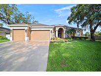 Charming single-story home featuring a well-manicured lawn, a three-car garage, and inviting landscaping at 10101 Paddock Oaks Dr, Riverview, FL 33569