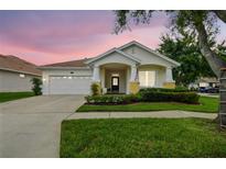 Charming single-story home with a well-manicured lawn and inviting covered porch at 18203 Tivoli Ln, Lutz, FL 33558