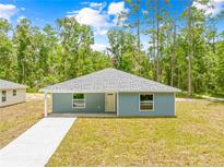 Charming single-story home featuring light blue siding and a well-manicured lawn at 19275 Wildwood Dr, Brooksville, FL 34601