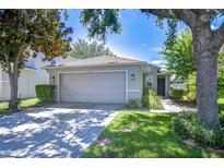 Charming single-story home with a well-maintained lawn, a two-car garage, and inviting curb appeal at 19555 Timberbluff Dr, Land O Lakes, FL 34638