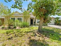 Charming single-story home featuring lush landscaping and a welcoming front entrance at 2068 Diane Ave, Palm Harbor, FL 34683