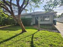 Charming single story home with well-maintained lawn and mature landscaping creates curb appeal at 507 Danube Ave, Tampa, FL 33606