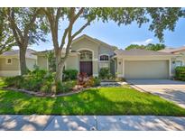 Charming single-story home with a manicured lawn, mature trees, and a two-car garage at 8213 Swann Hollow Dr, Tampa, FL 33647
