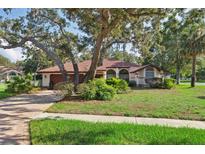 Charming single story home with brick driveway, mature trees, and well manicured landscaping at 13747 Forest Ridge Ct, Hudson, FL 34667