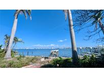 Expansive waterfront view showcases clear blue water, city skyline, and palm trees, creating a tranquil vista at 720 Boca Ciega Isle Dr, St Pete Beach, FL 33706
