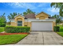 Charming single-story home with a well-maintained lawn, lush landscaping, and a two-car garage at 26616 Whirlaway Ter, Wesley Chapel, FL 33544