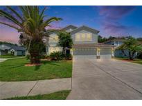 Beautiful two-story home with a three car garage, lush lawn and mature palm trees at 4634 Mapletree Loop, Wesley Chapel, FL 33544