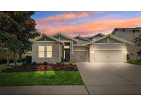 Charming single-story home with a well-manicured lawn and a two-car garage under a vibrant sunset sky at 6007 Quartz Lake Way, Lithia, FL 33547