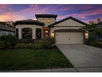 Charming single-Gathering home featuring a two-car garage, manicured lawn and a beautiful front entrance at 11597 Weaver Hollow Rd, New Port Richey, FL 34654