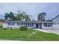 Charming single-story home featuring a well-manicured lawn and inviting curb appeal with a beautiful palm tree at 1445 Coburn Dr, Tarpon Springs, FL 34689