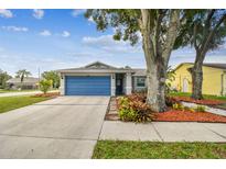 Charming single-story home with a blue garage door and well-maintained landscaping at 4108 Woodtrail Blvd, New Port Richey, FL 34653