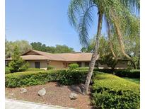 Charming single-story home with a well-manicured lawn and a beautiful palm tree in the front yard at 455 Hickorynut Ave, Oldsmar, FL 34677
