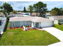 Charming one-story home featuring a well-manicured lawn, fresh landscaping, and attached two-car garage at 7314 Ivanhoe Dr, Port Richey, FL 34668