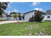 Charming single-story home featuring a blue door, palm tree, and well-maintained front yard at 15906 Country Farm Pl, Tampa, FL 33624