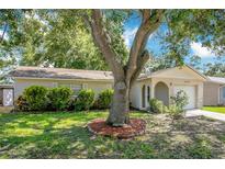 Charming single-story home featuring a well-maintained lawn and a mature tree in the front yard at 1600 Amberlea N Dr, Dunedin, FL 34698