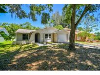 Charming single-story home with a well-maintained lawn and mature trees providing shade in a suburban neighborhood at 16138 Manorwood Cir, Tampa, FL 33624