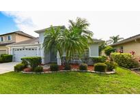 Charming single-Gathering home with a well-manicured lawn and mature landscaping and a two car garage at 19309 Seacove Dr, Lutz, FL 33558