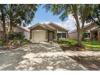 Charming single-story home with a well-maintained lawn and a driveway leading to an attached garage at 456 Summer Sails Dr, Valrico, FL 33594