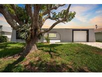 Charming home features a well-manicured front yard with mature landscaping and an attached garage at 4016 Grayton Dr, New Port Richey, FL 34652