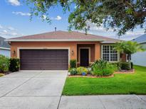 Charming single-story home with a well-manicured lawn, brown garage door, and colorful front garden at 20244 Merry Oak Ave, Tampa, FL 33647