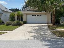 Charming single-Gathering home with a well-maintained lawn and a two-car garage at 205 Summer Sails Dr, Valrico, FL 33594