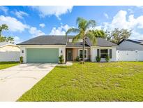 Charming single-story home with a well-manicured lawn and a lush palm tree in the front yard at 12106 Clearbrook Ct, Riverview, FL 33569