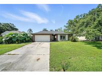 Charming single-story home with well-maintained lawn, mature trees, and a two-car garage at 22422 Stillwood Dr, Land O Lakes, FL 34639