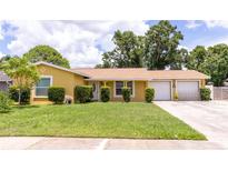 Charming single-story home features a lush front lawn and a two-car garage at 7542 Armand Cir, Tampa, FL 33634
