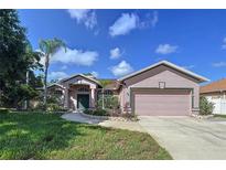 Charming single-story home with landscaped yard, driveway, and a two-car garage at 22804 Willow Lakes Dr, Lutz, FL 33549