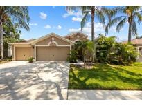 Charming single-Gathering home with a two-car garage and lush landscaping with mature palms in a desirable community at 2511 Groveway Dr, Valrico, FL 33596