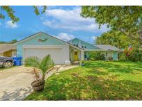 Charming single-Gathering home with a well-maintained lawn and colorful exterior design at 2533 Blossom Lake Dr, Holiday, FL 34691