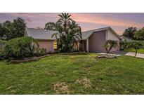 Charming home featuring lush landscaping and a well-maintained lawn at 3335 Foxridge Cir, Tampa, FL 33618