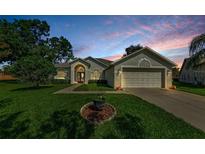 Charming single-story home featuring a well-manicured lawn and an attached two-car garage at sunset at 8604 Herons Cove Pl, Tampa, FL 33647