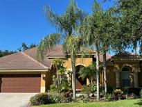 Beautiful single-story home with a brown roof, well-manicured landscaping and multiple palm trees in the front yard at 1353 El Pardo Dr, Trinity, FL 34655