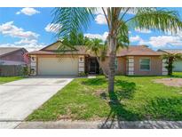Charming single story home featuring a two-car garage and an American flag displayed in the front yard at 1604 Dusty Rose Ln, Brandon, FL 33510