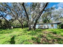 A charming light-blue single-story home nestled among mature trees, offering a tranquil setting and appealing curb appeal at 1821 Weekend Ln, Odessa, FL 33556